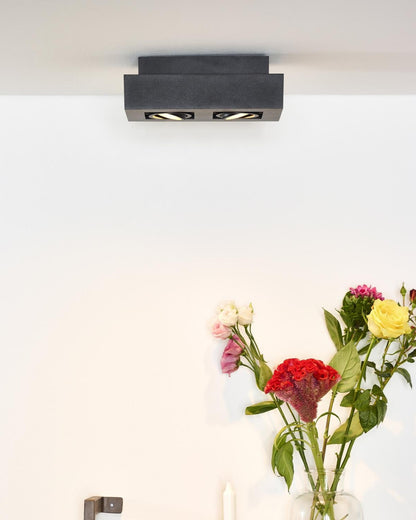 Plafondspot Xirax zwart 2-lichts incl. Led
