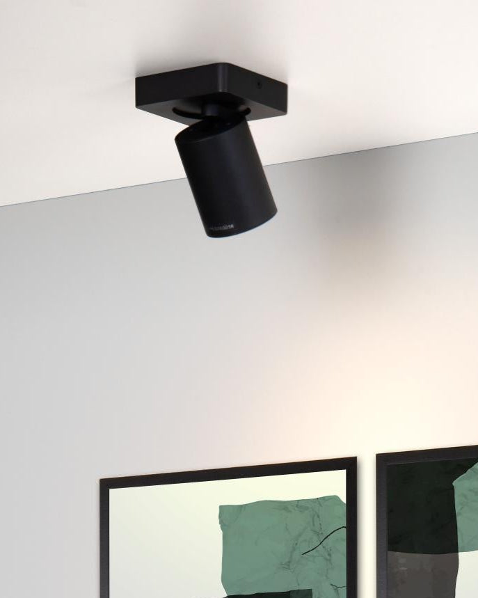 Plafondspot Nigel zwart incl. Led