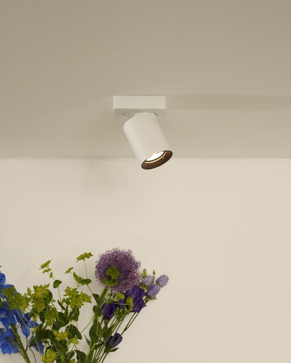 Plafondspot Nigel wit incl. Led