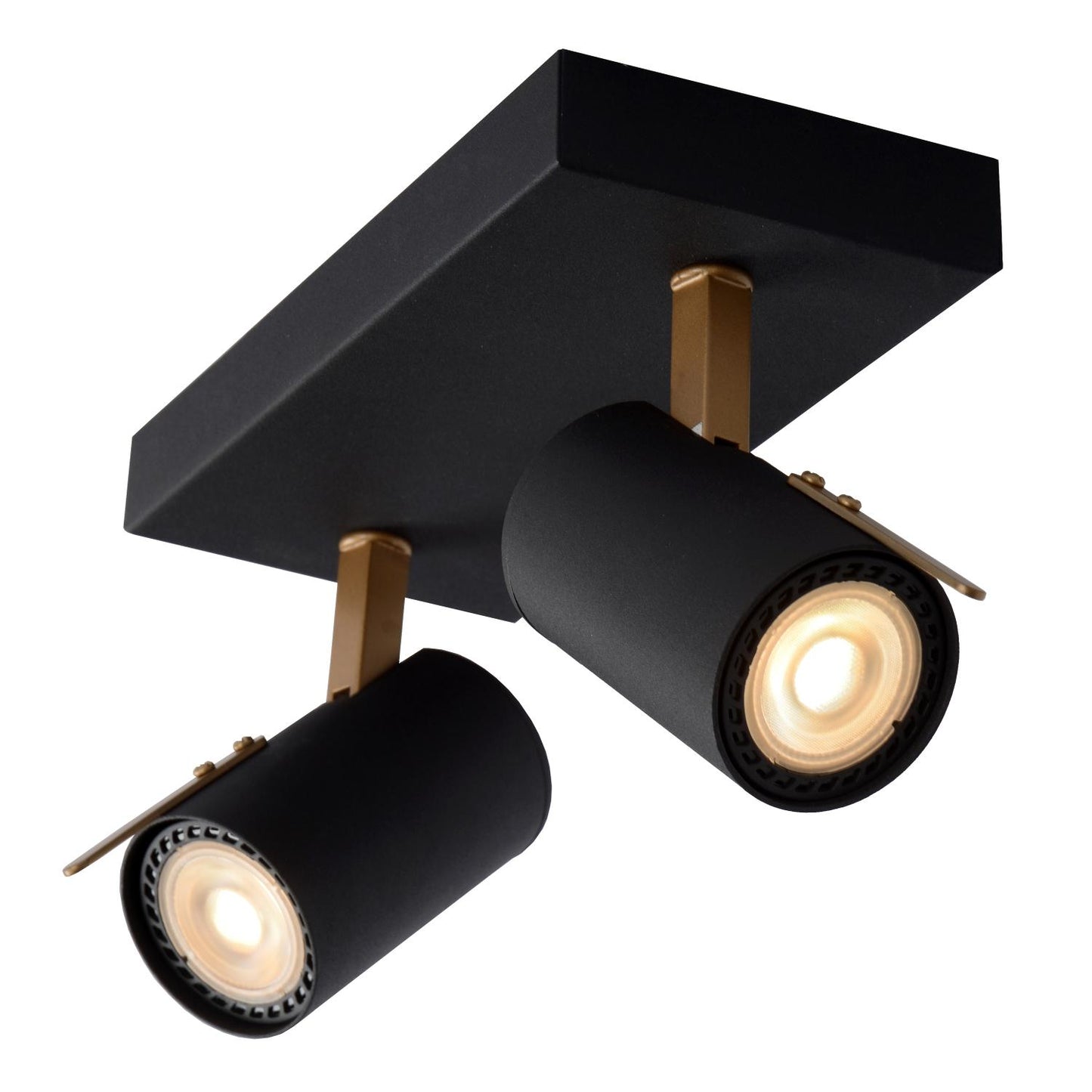 Plafondspot Grony 2-lichts zwart-goud incl.LED