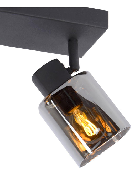 Plafondspot Alion smoke 2-lichts E14