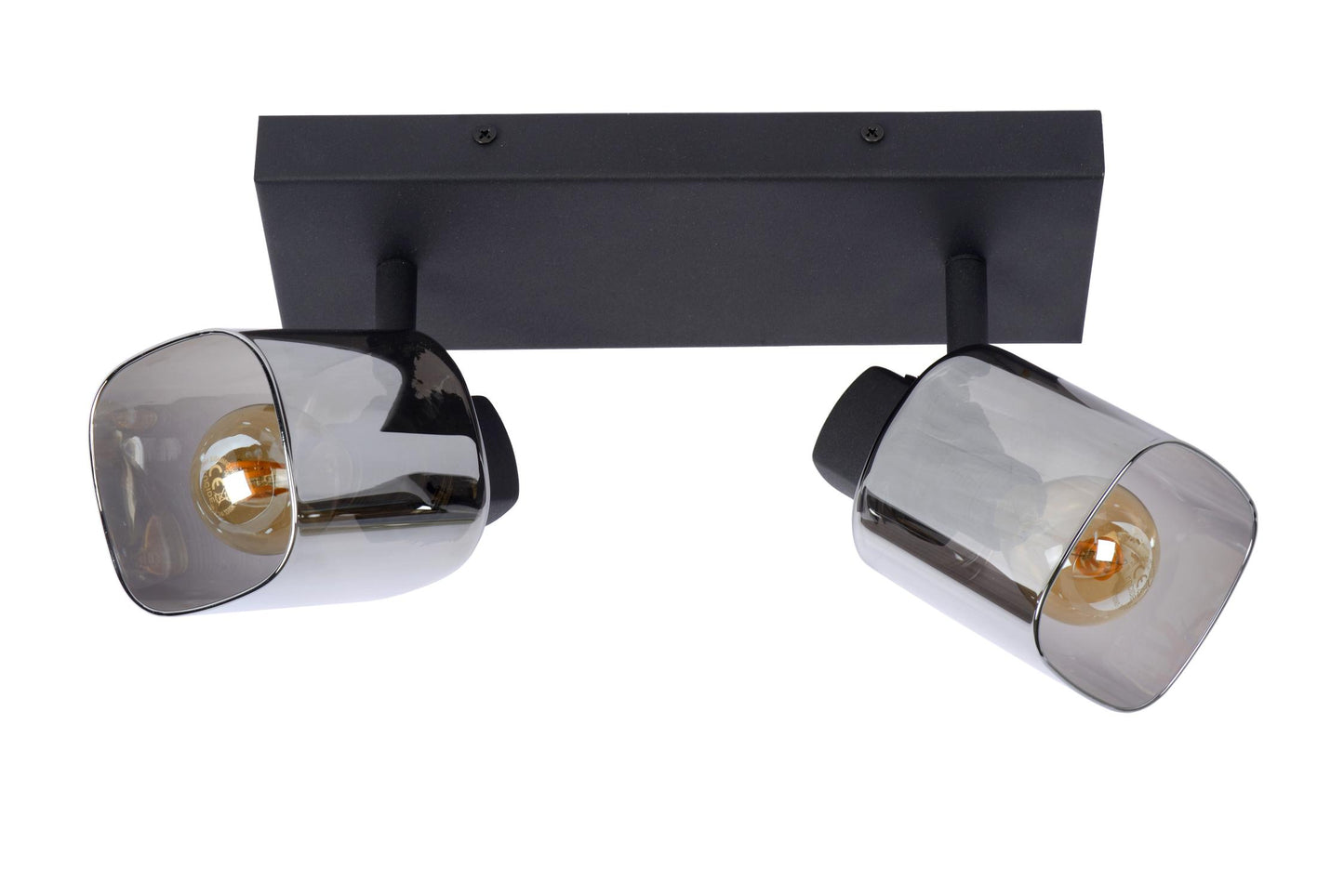 Plafondspot Alion smoke 2-lichts E14