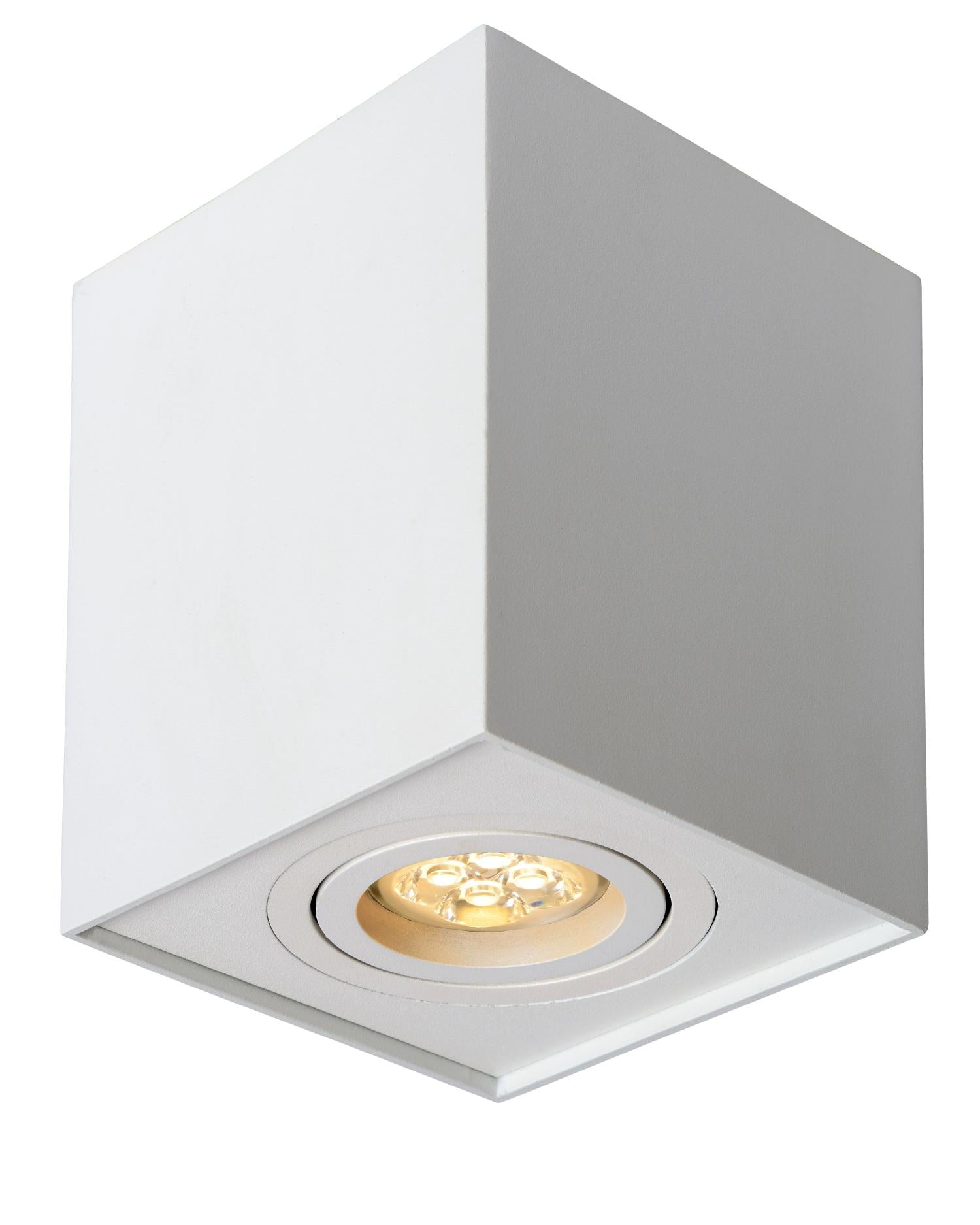 tube-plafondspot-22953-01-31