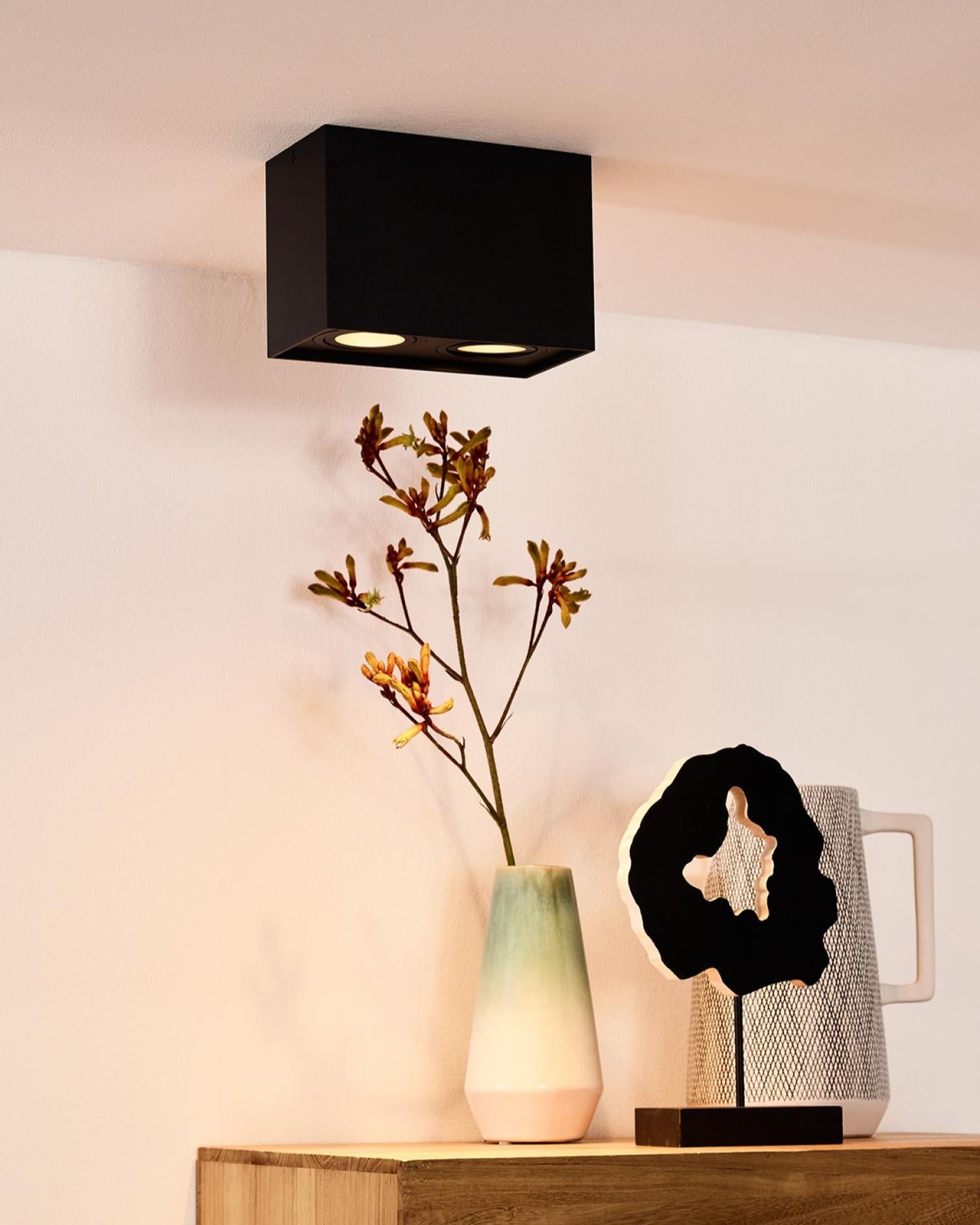 Plafondspot Tube zwart 2x GU10