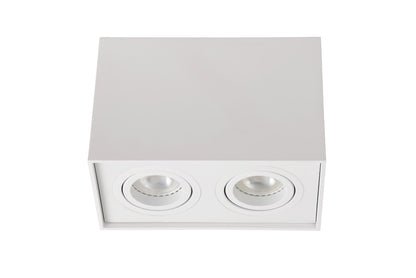 Plafondspot Tube wit 2xGU10