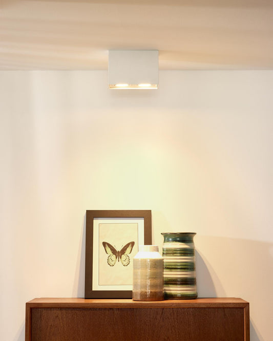 Plafondspot Tube wit 2xGU10